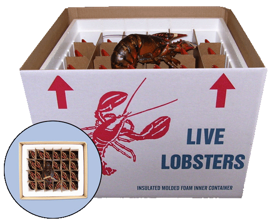 nova scotia lobster