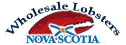 Nova Scotia Lobster